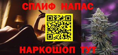 индика Можайск