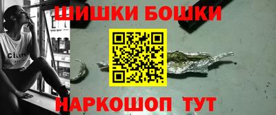 индика Можайск