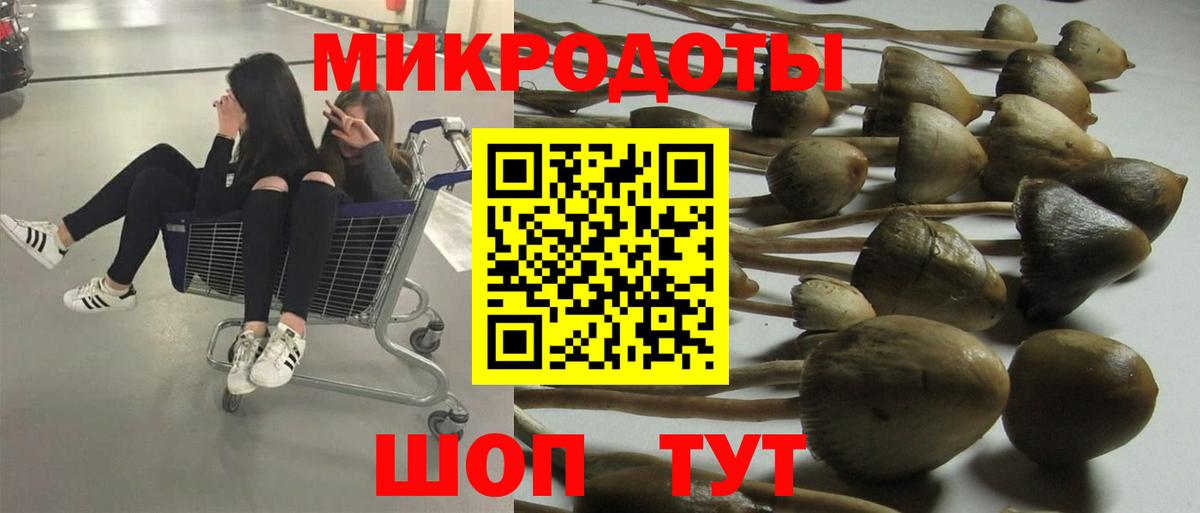 Чайковский  Галлюциногенные грибы Psilocybe  Вход с VPN 